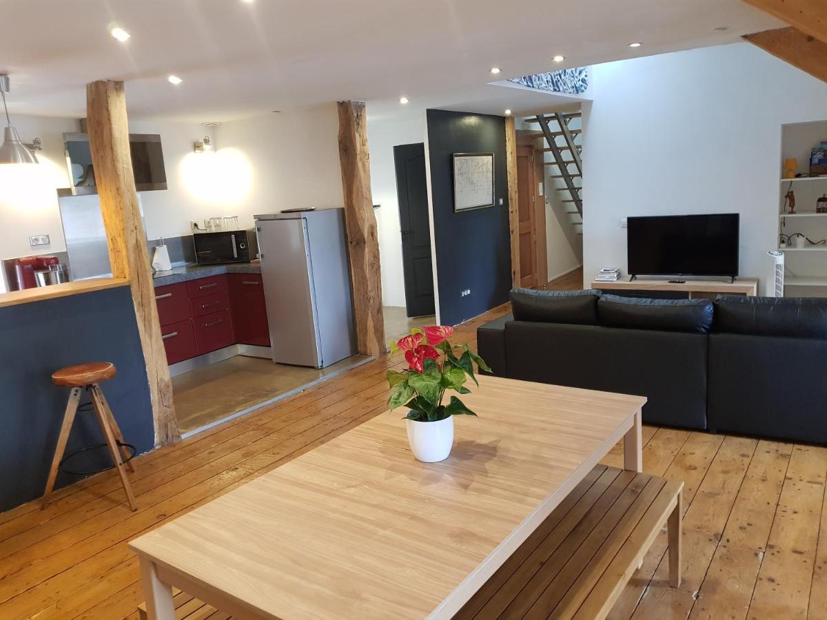 Апартаменти Loft Dans Les Pyrenees Олорон-Сент-Марі Екстер'єр фото